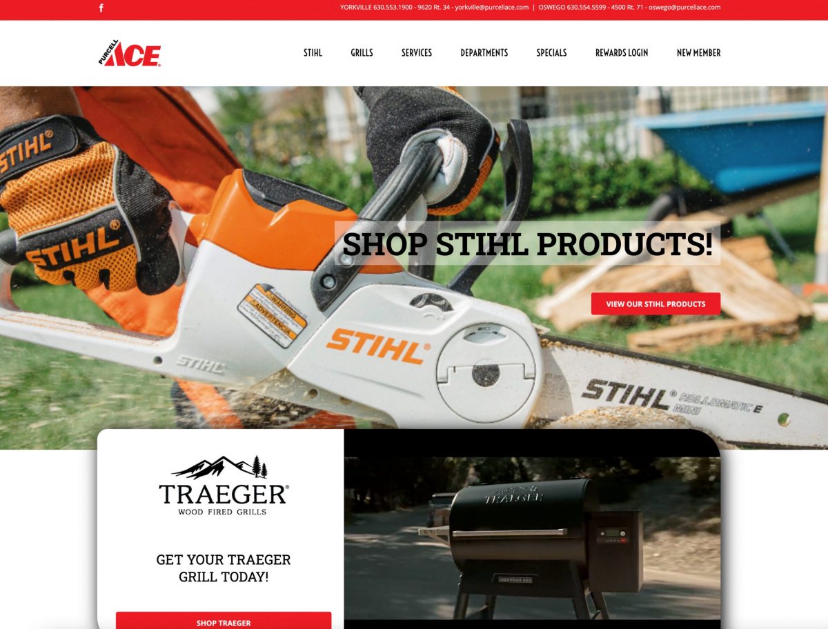 ACE_WebsitePortfolio_FI-01