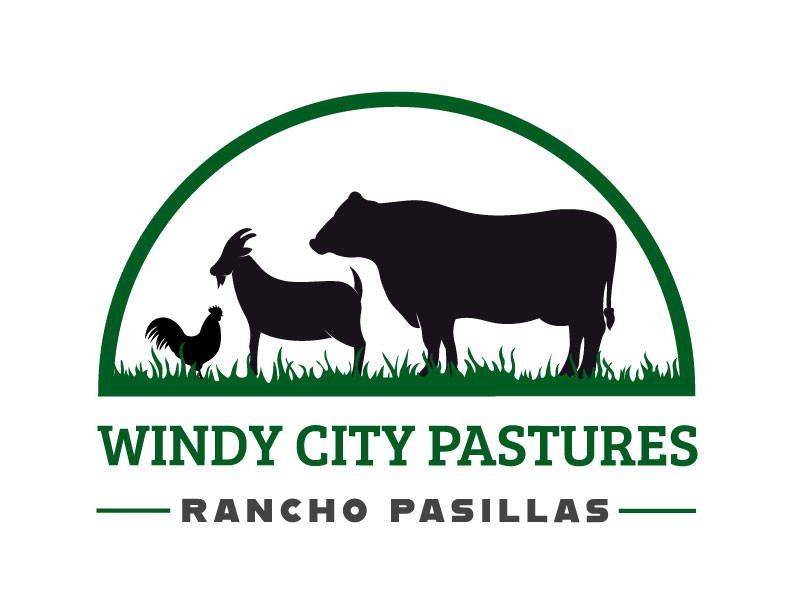 WindyCity_LogoDesign_PMGWeb
