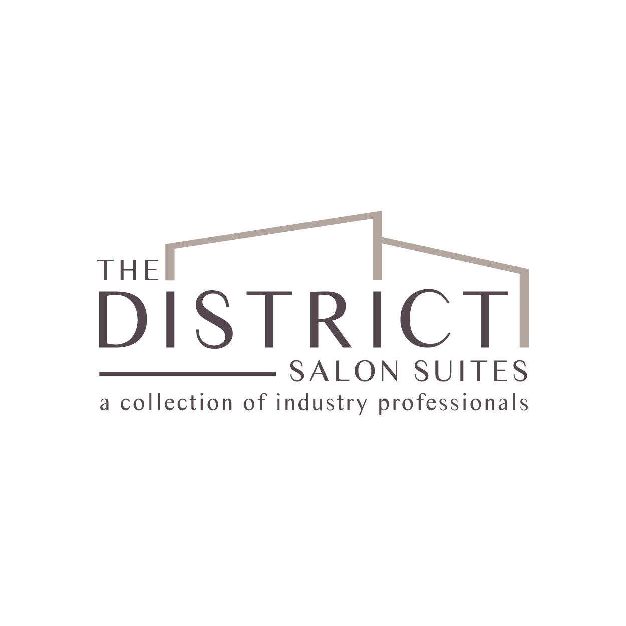 DistrictSalonSuites_logo